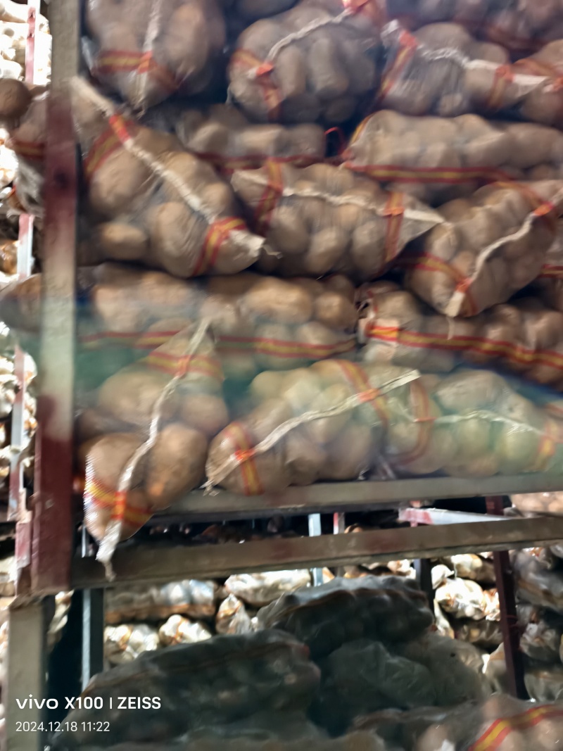精品土豆，支持各种规格，适应各大批发市场，欢迎来电咨询
