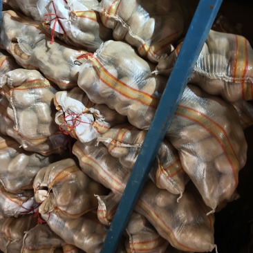 精品土豆，支持各种规格，适应各大批发市场，欢迎来电咨询