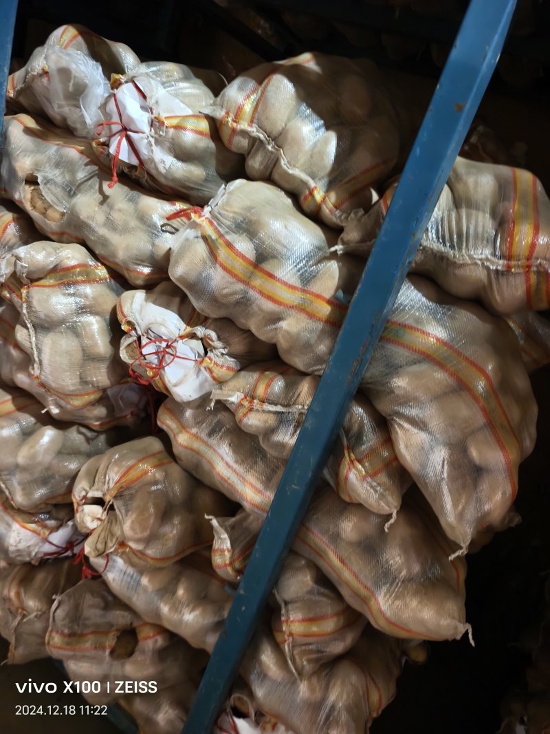 精品土豆，支持各种规格，适应各大批发市场，欢迎来电咨询