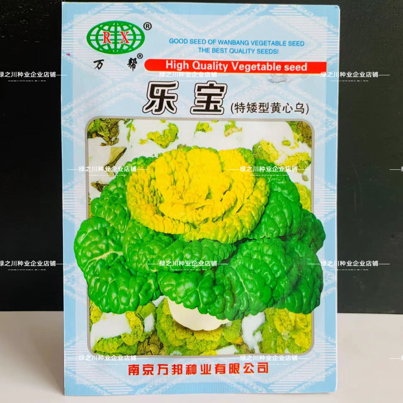 万帮黄心乌塌菜种子黄心乌种子特矮型黄芯菜菊花菜种子