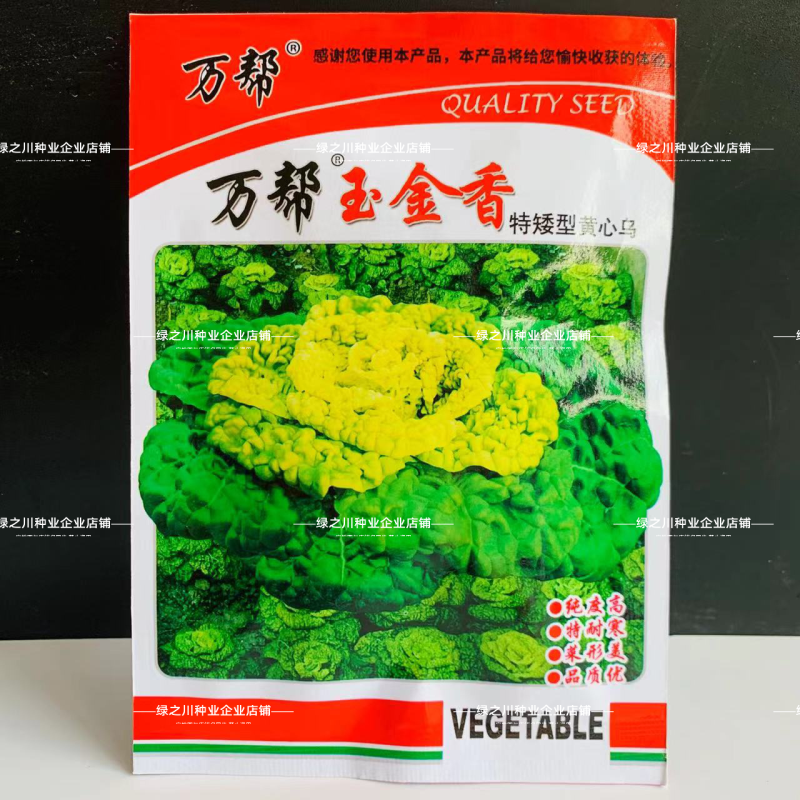 万帮黄心乌塌菜种子黄心乌种子特矮型黄芯菜菊花菜种子