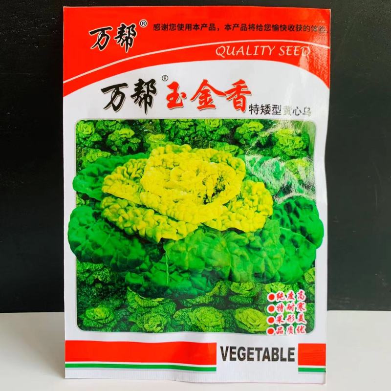 万帮黄心乌塌菜种子黄心乌种子特矮型黄芯菜菊花菜种子