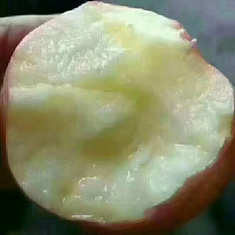 运城市万荣红富士苹果