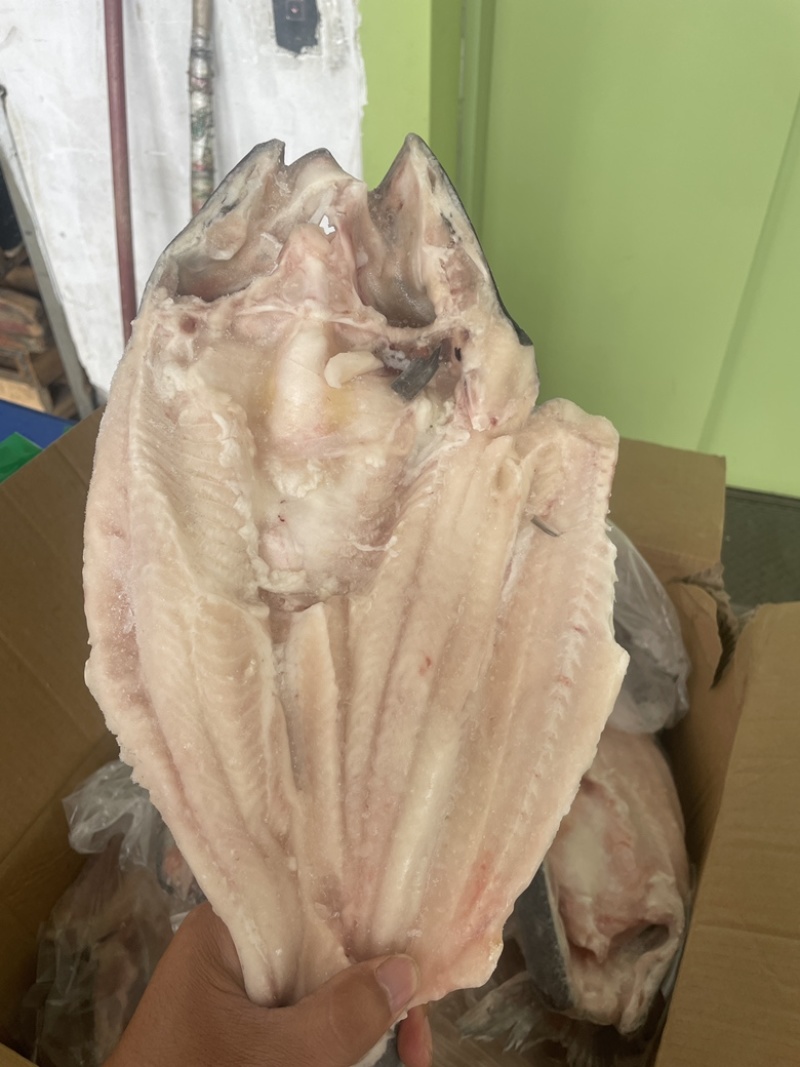 腌制开背巴沙鱼，烧烤烤鱼，各种规格！价钱合理！欢迎合作！