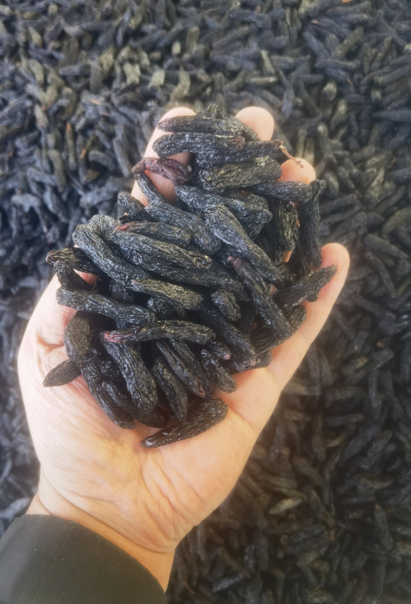蓝宝石葡萄干新疆吐鲁番产地直发
