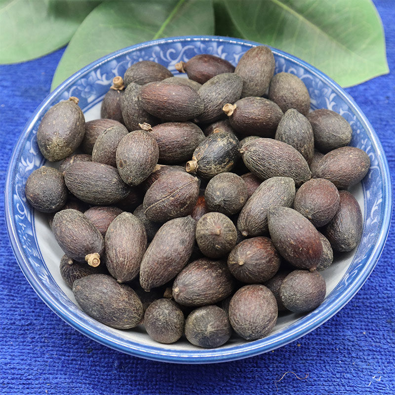 葵扇子中药材葵树子葵树籽葵扇子葵扇籽蒲葵子蒲扇种子扇叶