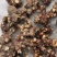 50亩金荞麦待采挖有需求的老板私信我，大量供货