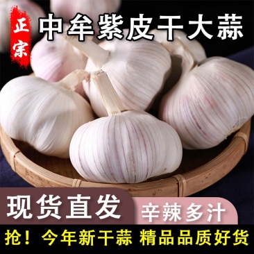 河南中牟大蒜一件代发一手货源