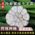 河南中牟大蒜一件代发一手货源