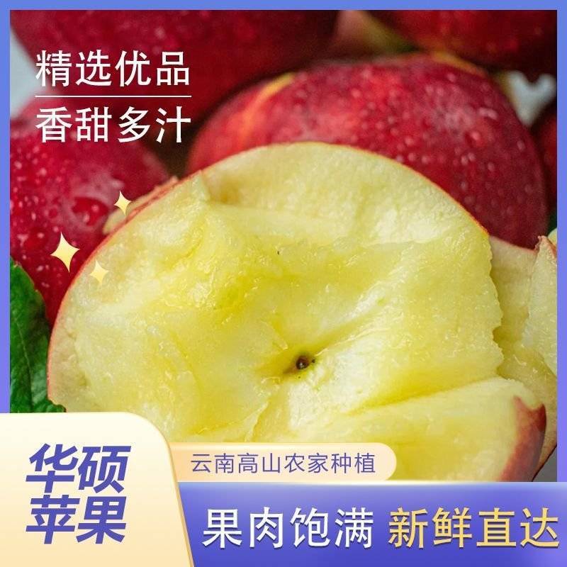 《精选》云南昭通华硕苹果基地直发对接全国保质保量一条龙