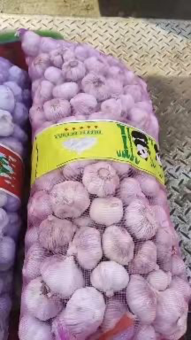 河南中牟大蒜一件代发一手货源