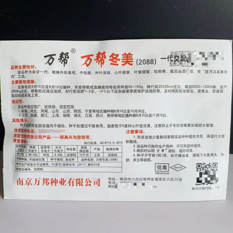 万帮冬美乌塌菜种子墨地金杂交乌塌菜种籽耐寒腊月乌菜