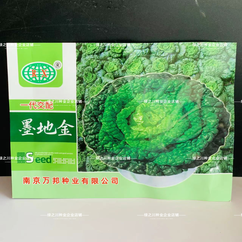 万帮冬美乌塌菜种子墨地金杂交乌塌菜种籽耐寒腊月乌菜