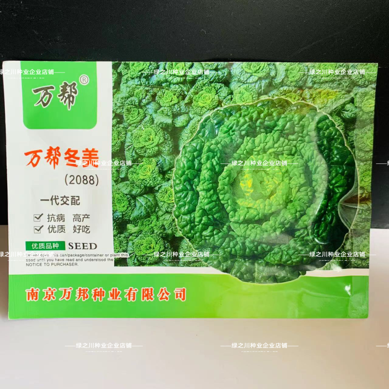 万帮冬美乌塌菜种子墨地金杂交乌塌菜种籽耐寒腊月乌菜