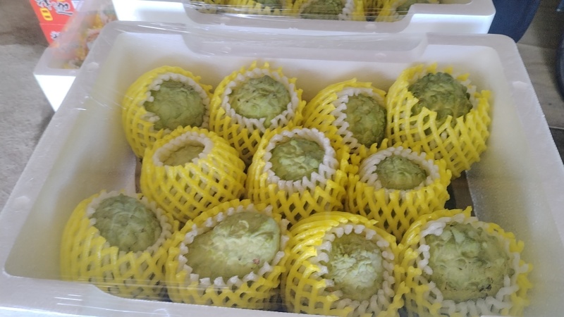 释迦果潮汕林擒批发