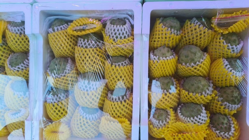 释迦果潮汕林擒批发