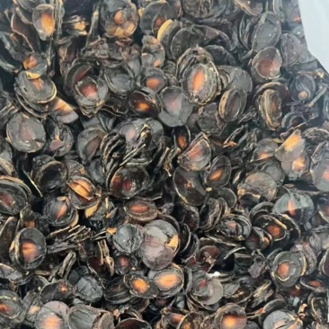 大解果肉批发大片完整腊肠果肉片便秘果肉代发足干无碎干净