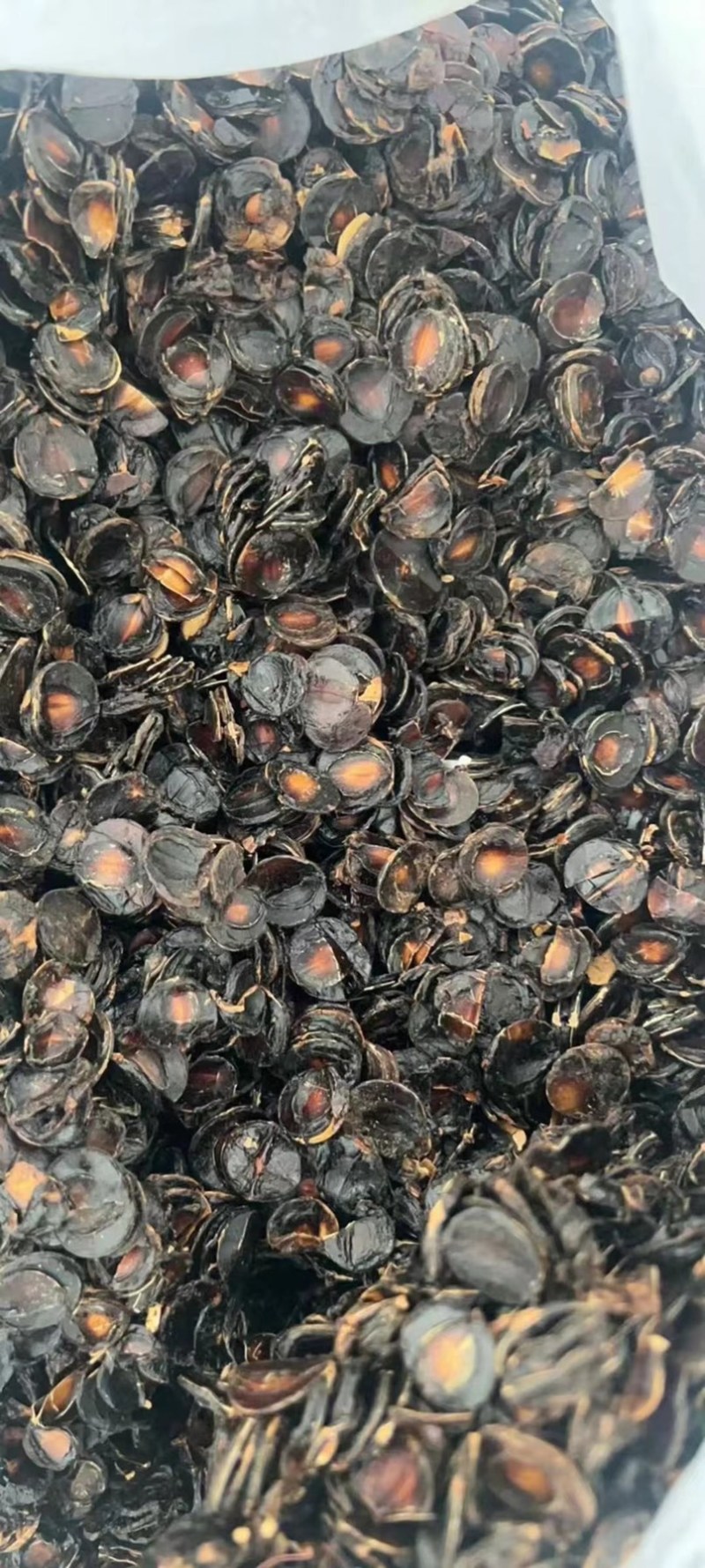 大解果肉批发大片完整腊肠果肉片便秘果肉代发足干无碎干净