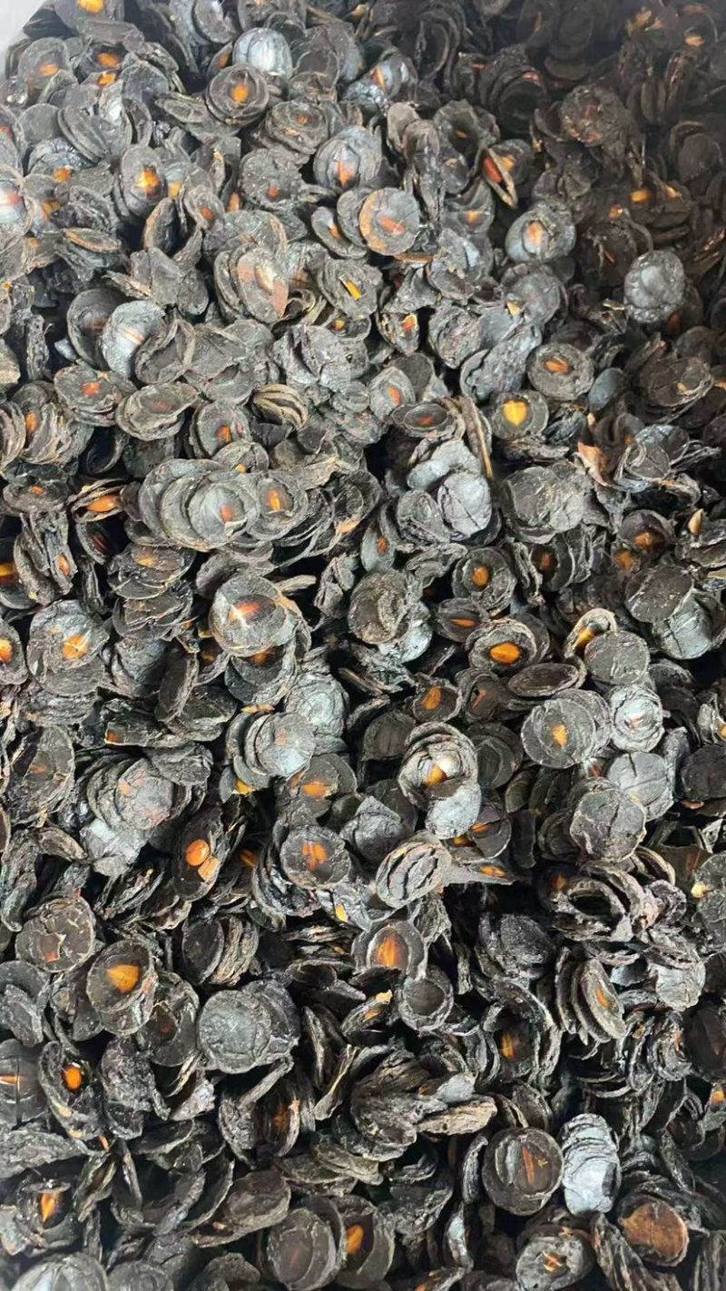大解果肉批发大片完整腊肠果肉片便秘果肉代发足干无碎干净