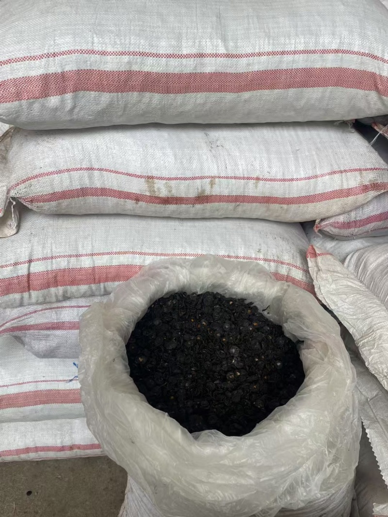 大解果肉批发大片完整腊肠果肉片便秘果肉代发足干无碎干净