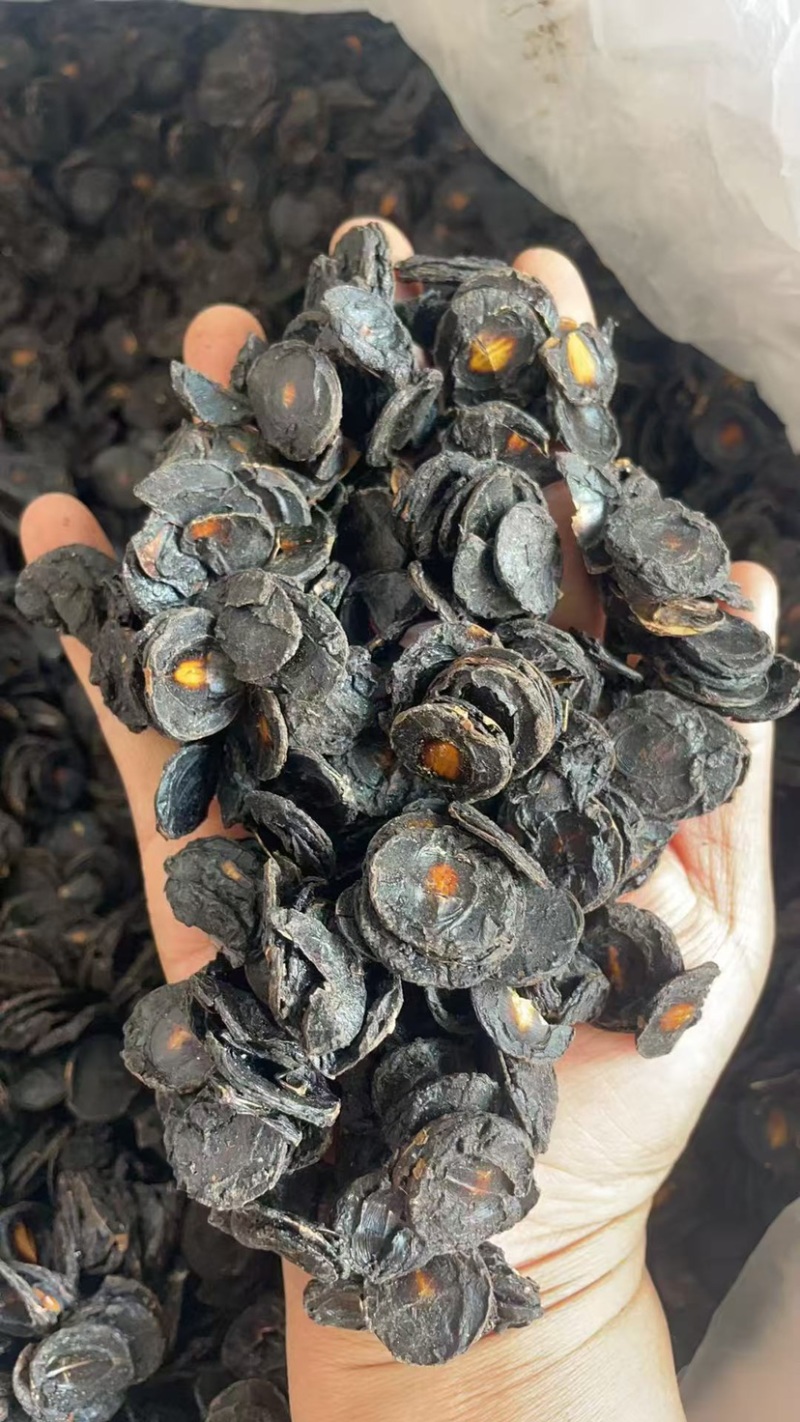 大解果肉批发大片完整腊肠果肉片便秘果肉代发足干无碎干净