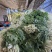 长梗白菜腌制白菜