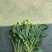 长梗白菜腌制白菜