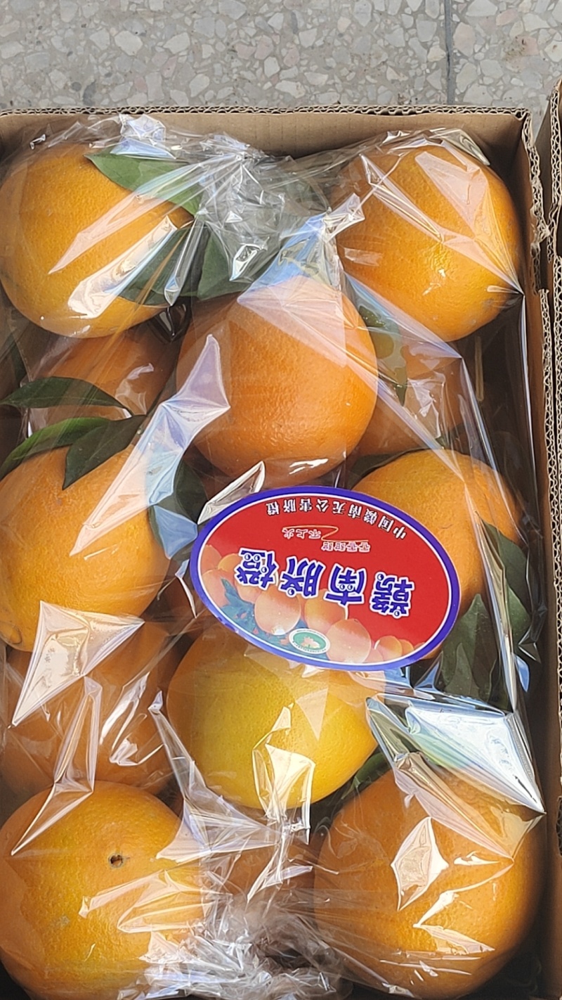赣南脐橙（三百山）本地直发