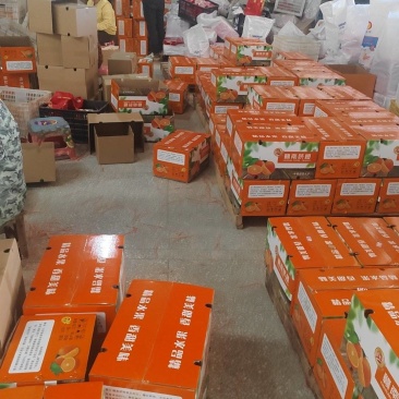 赣南脐橙（三百山）本地直发