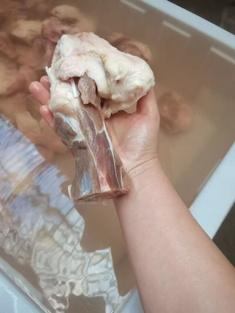 猪拐筋