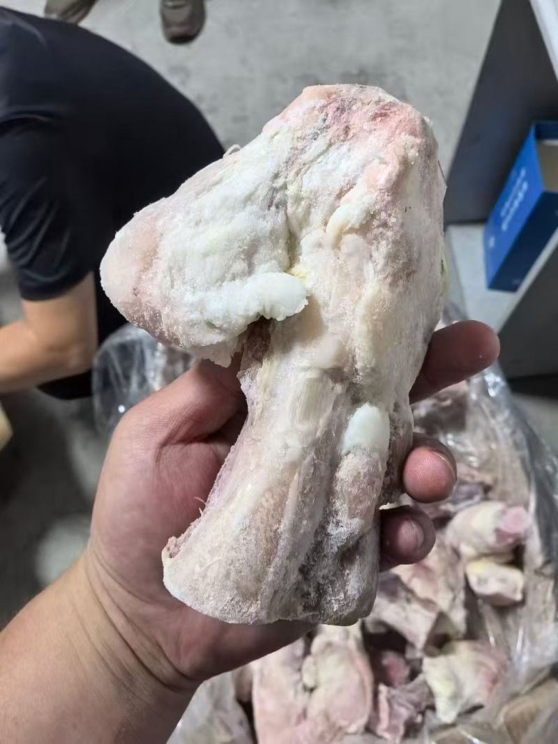 猪拐筋