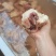 猪拐筋