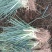 我在河南南阳嘉恒育苗基地，现有钢葱苗500万颗，售价5分