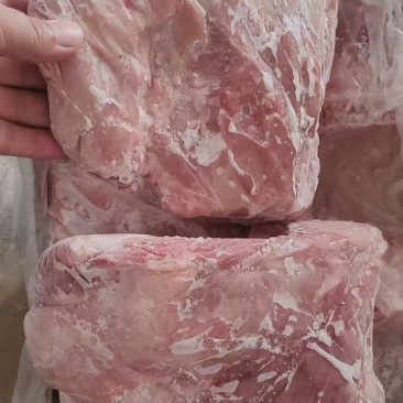 肥猪多肉前排大量现货，质量可靠，量大可谈，手续齐全