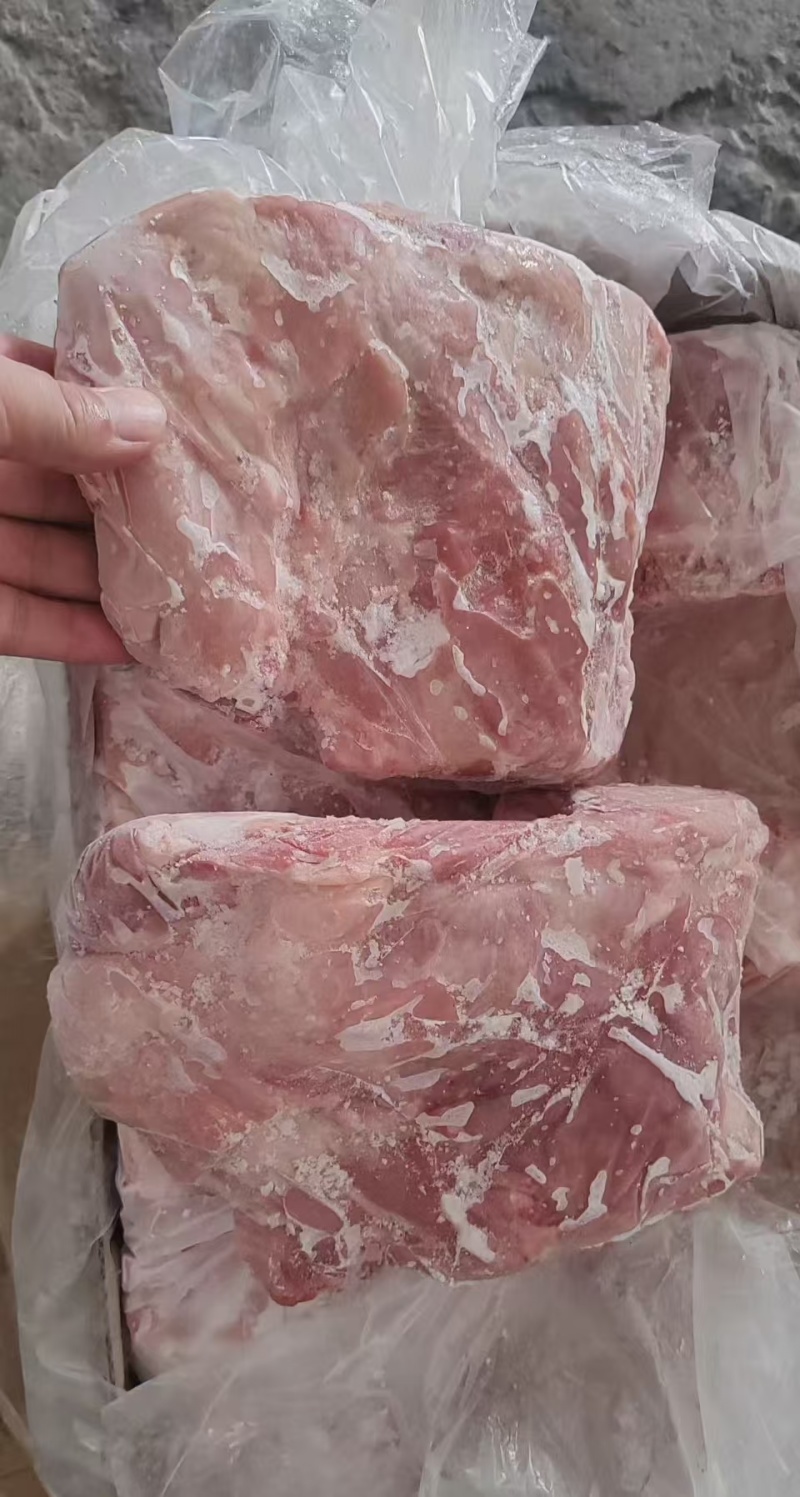 肥猪多肉前排大量现货，质量可靠，量大可谈，手续齐全