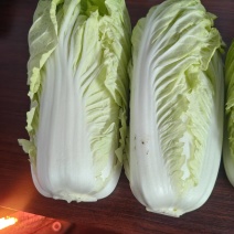 白菜