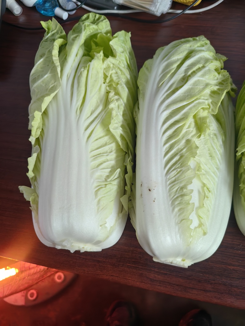 白菜