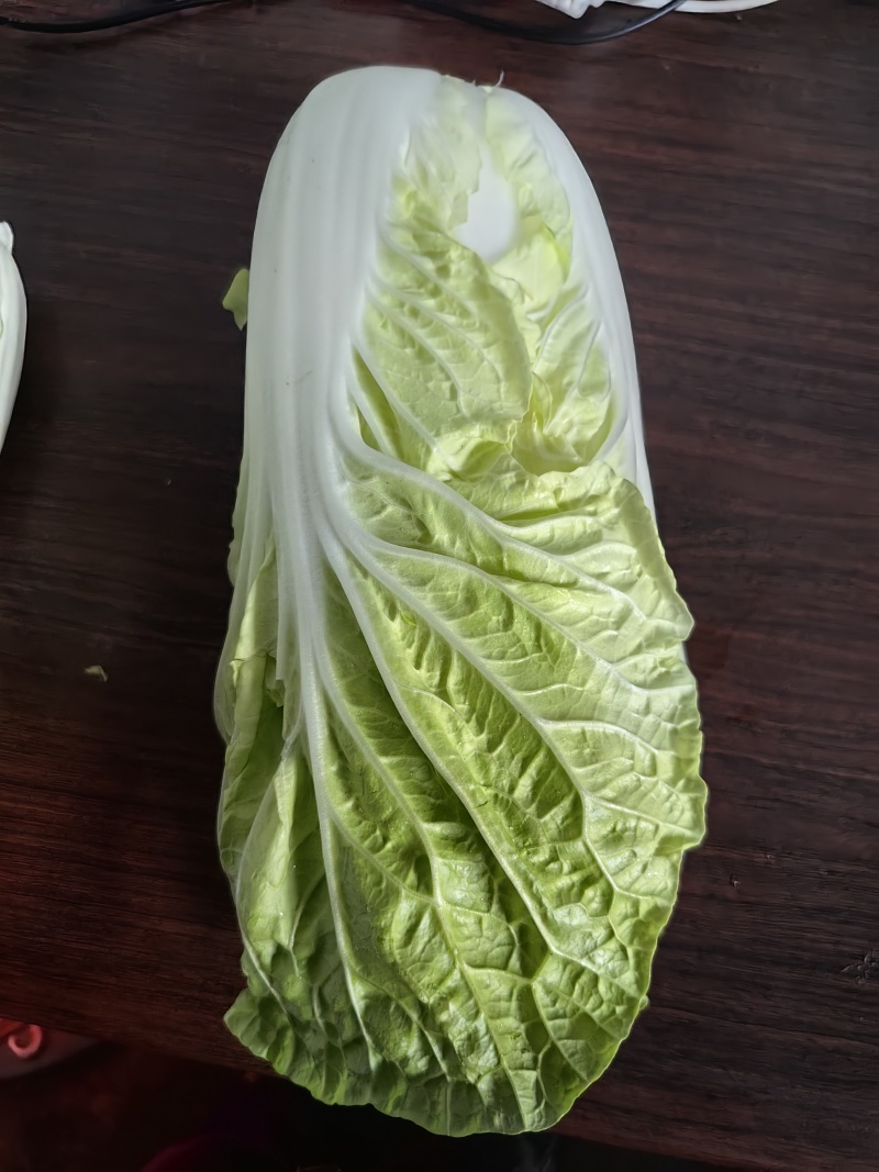 白菜