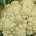 小米粒菜花