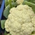 小米粒菜花