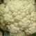 小米粒菜花