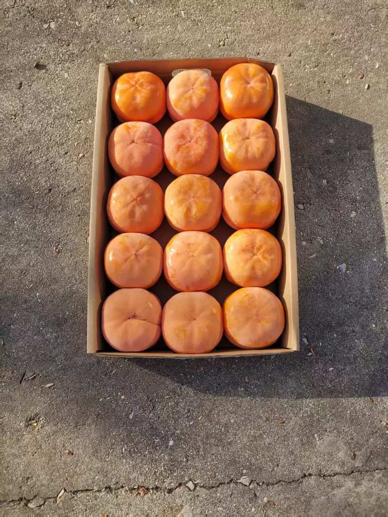 磨盘柿大量上市质优价廉发货迅速物流快柿子