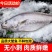 包邮）新鲜海捕米鱼敏鱼大鮸鱼冰冻鳘鱼深海海鲜鲜活水产5斤