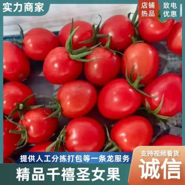 精品千禧圣女果货源充足量大从优对接全国市场诚信经营