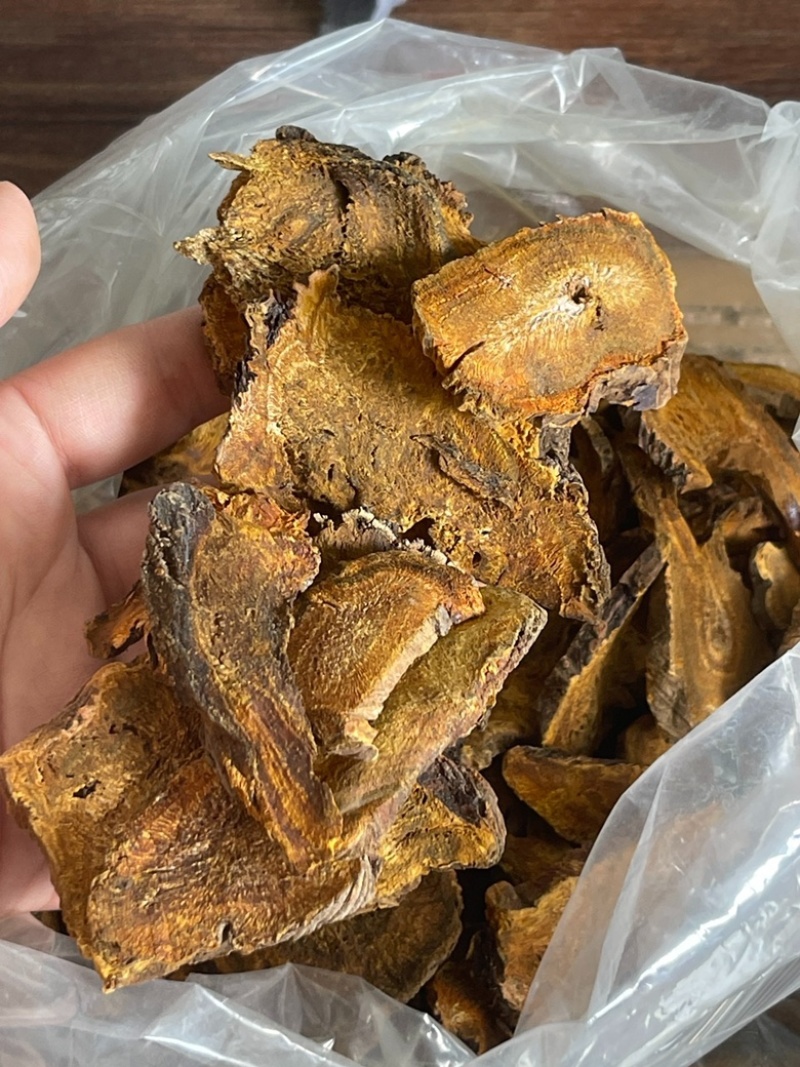大黄马蹄大黄川大黄西大黄中药材批发品质保证