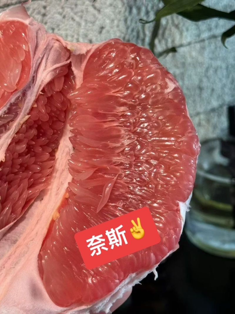 平和红心蜜柚