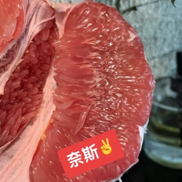 平和红心蜜柚
