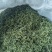 肾精茶精选小叶绿叶肾精茶肾精草长白山肾精茶现货