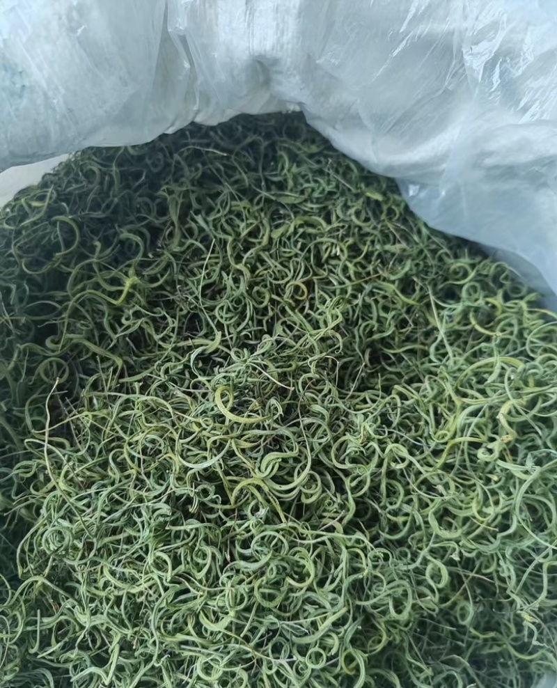 肾精茶精选小叶绿叶肾精茶肾精草长白山肾精茶现货