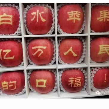 陕西白水苹果